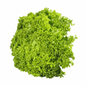 Apolo-Verde-arinfruits